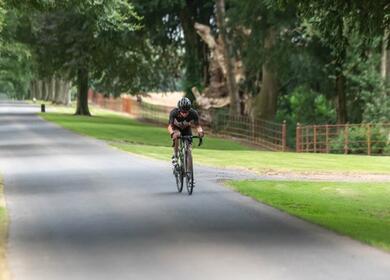 The Avenue at Shobdon